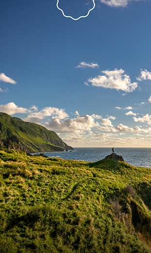 A traveller stands on a hill while the sun shines in Green Gardens. 