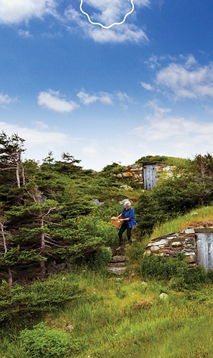 A person is walking down the steps of a root cellar in Elliston.