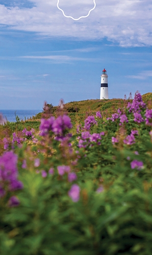 A lighthouse is on the other side of a flower bed in L’Anse-Amour.